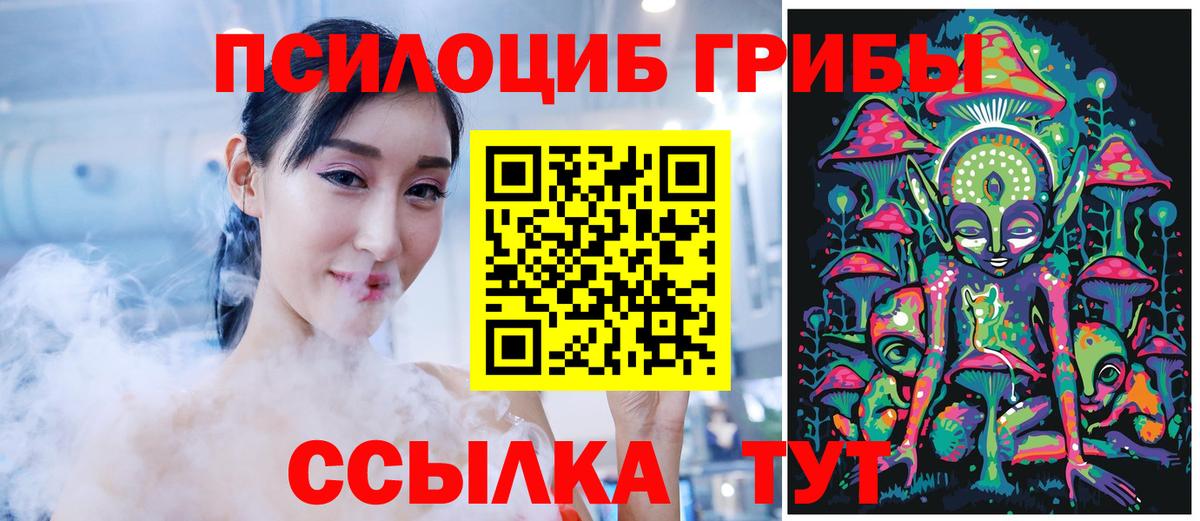 Аргун  где можно купить   Псилоцибиновые грибы MAGIC MUSHROOMS  Вход с VPN  Галлюциногенные грибы Magic Shrooms 
