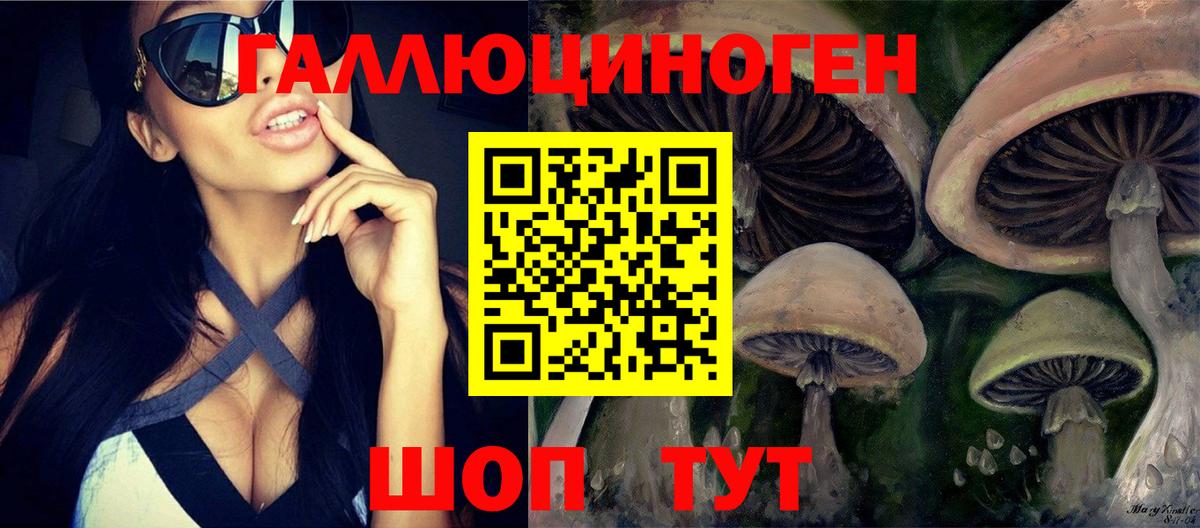 Галлюциногенные грибы Psilocybe Аргун